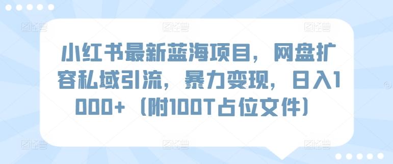 小红书最新蓝海项目，网盘扩容私域引流，暴力变现，日入1000+(附100T占位文件)【揭秘】-康仁安网创