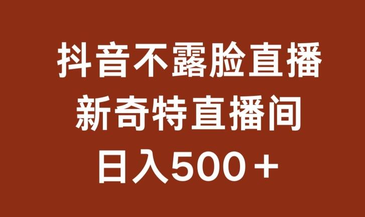 不露脸挂机直播,新奇特直播间,日入500+【揭秘】-康仁安网创