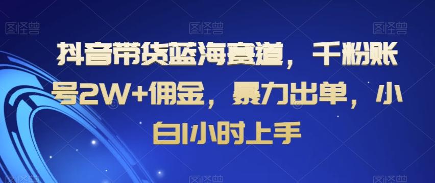 抖音带货蓝海赛道,千粉账号2W+佣金,暴力出单,小白1小时上手【揭秘】-康仁安网创
