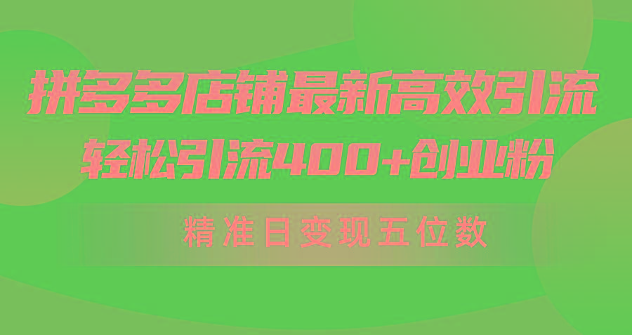 (10041期)拼多多店铺最新高效引流术，轻松引流400+创业粉，精准日变现五位数！-康仁安网创