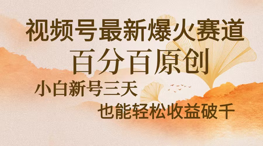视频号最新爆火赛道，中老年粉深信不疑，百分百原创，新号三天收益轻松...-康仁安网创