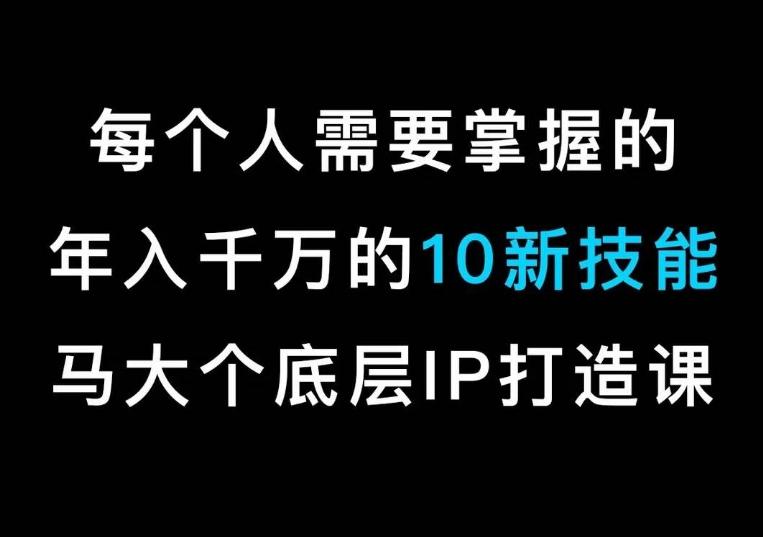马大个的IP底层逻辑课，​每个人需要掌握的年入千万的10新技能，约会底层IP打造方法！-康仁安网创