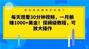 每天观看30分钟视频,一月躺赚1000+美金!保姆级教程,可放大操作【揭秘】-康仁安网创