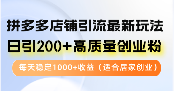 拼多多店铺引流最新玩法,日引200+高质量创业粉,每天稳定1000+收益(...-康仁安网创