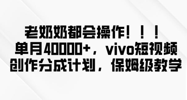 老奶奶都会操作，新平台无脑操作，单月40000+，vivo短视频创作分成计划【揭秘】-康仁安网创