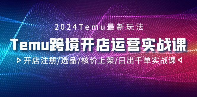 2024Temu跨境开店运营实战课,开店注册/选品/核价上架/日出千单实战课-康仁安网创