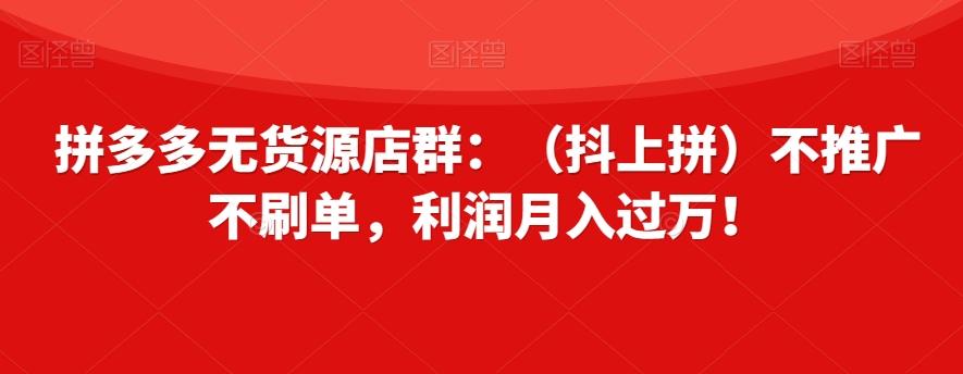 拼多多无货源店群：（抖上拼）不推广不刷单，利润月入过万！【揭秘】-康仁安网创
