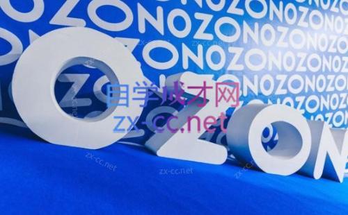 森哥·出海俄罗斯电商实操(2024)-康仁安网创