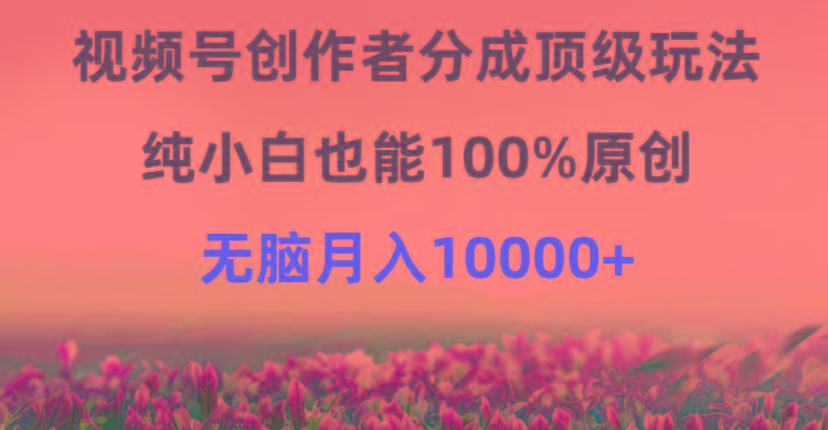 (9608期)视频号创作者分成顶级玩法,纯小白也能100%原创,无脑月入10000+-康仁安网创