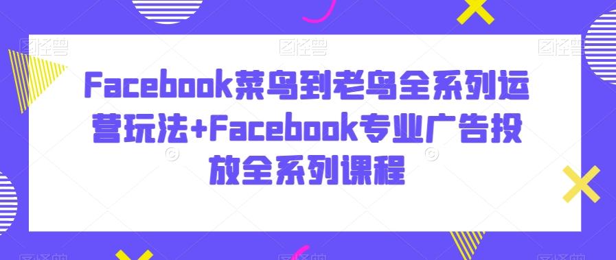 Facebook菜鸟到老鸟全系列运营玩法+Facebook专业广告投放全系列课程-康仁安网创