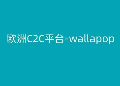 欧洲C2C平台-wallapop-kim跨境电商教程-康仁安网创