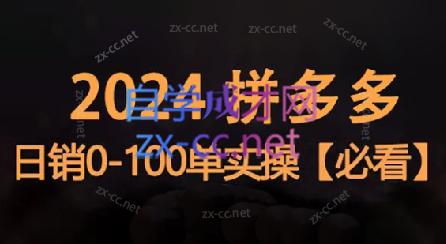 恒哥·2024拼多多日销0-100单实操-康仁安网创