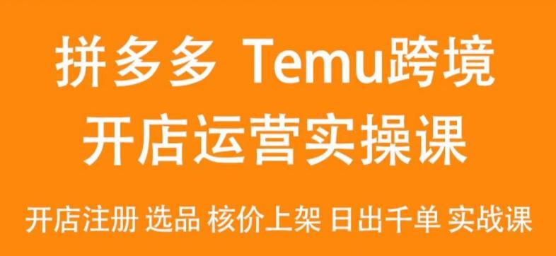 2024Temu最新玩法，Temu跨境开店运营实操课，开店注册/选品/核价上架/日出千单实战课-康仁安网创