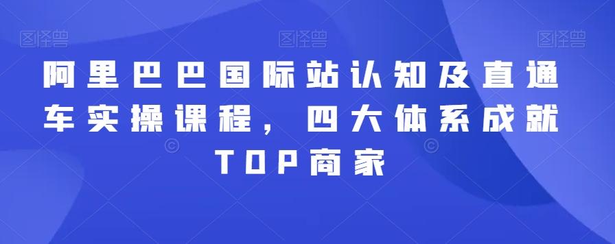阿里巴巴国际站认知及直通车实操课程,四大体系成就TOP商家-康仁安网创