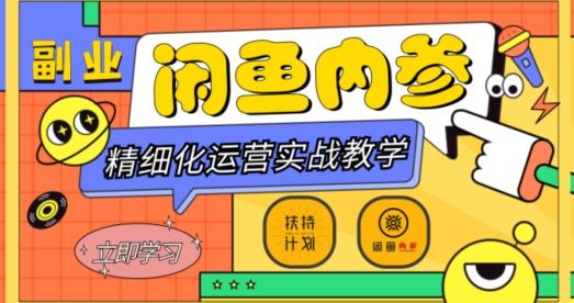 闲鱼精细化运营入门+高阶实战教学，从底层逻辑到轻松变现，多维度玩转闲鱼副业-康仁安网创