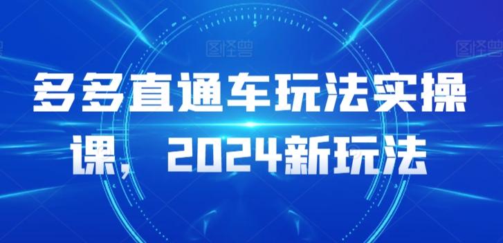 多多直通车玩法实操课，2024新玩法-康仁安网创