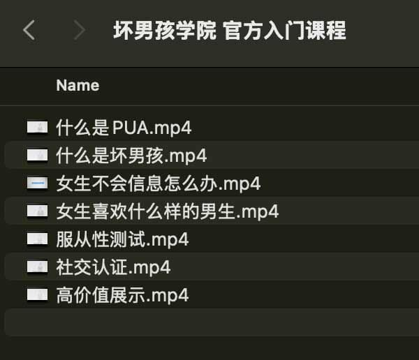 坏男孩学院 官方入门课程-康仁安网创