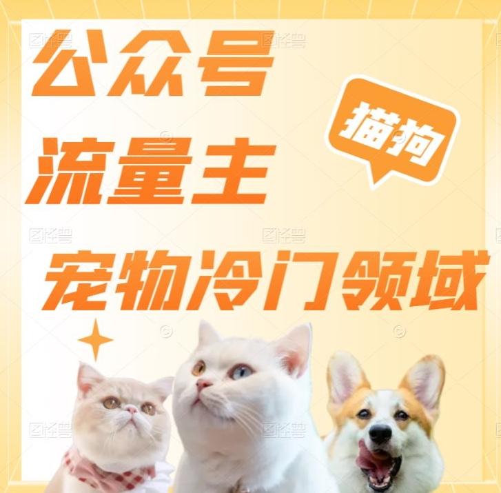 公众号流量主，萌宠冷门领域，单日收益2000+，简单暴力掘金，矩阵操作，无限放大收益！-康仁安网创