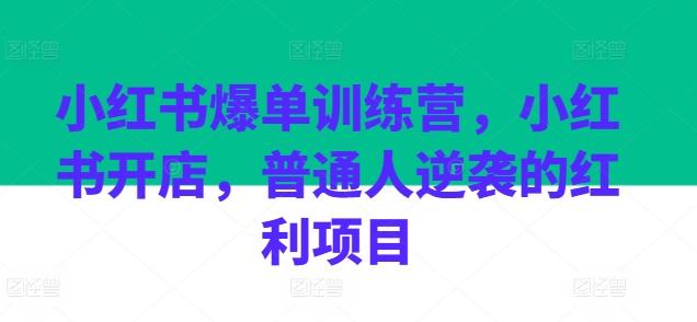 小红书爆单训练营,小红书开店,普通人逆袭的红利项目-康仁安网创