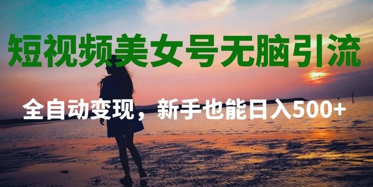 短视频美女号无脑引流，全自动变现，新手也能日入500+-康仁安网创