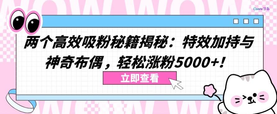两个高效吸粉秘籍揭秘：特效加持与神奇布偶，轻松涨粉5000+【揭秘】-康仁安网创