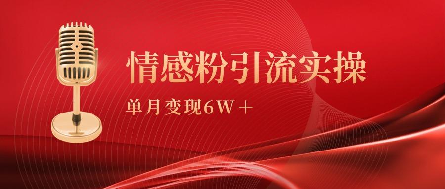 (9473期)单月变现6w+,情感粉引流变现实操课-康仁安网创