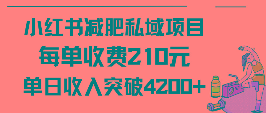 (9466期)小红书减肥私域项目每单收费210元单日成交20单，最高日入4200+-康仁安网创