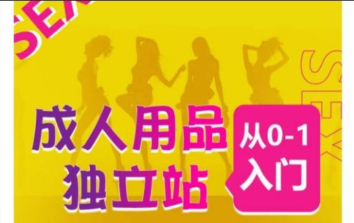 成人用品独立站从0-1入门，成品独立站运营全流程教学，七大好卖成品独立站推荐-康仁安网创