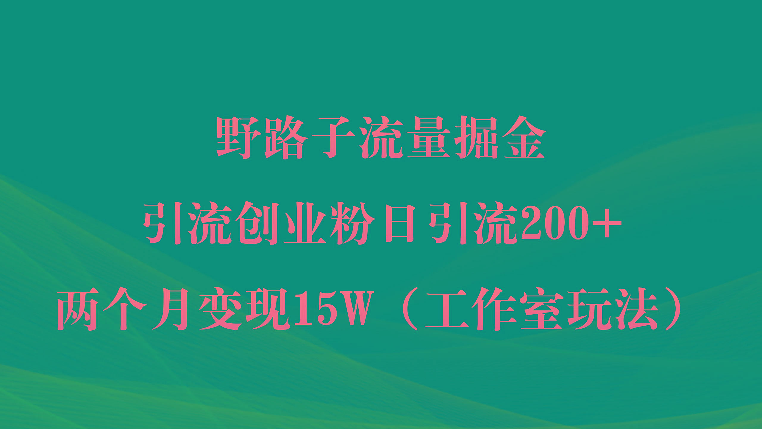 (9513期)野路子流量掘金，引流创业粉日引流200+，两个月变现15W(工作室玩法))-康仁安网创