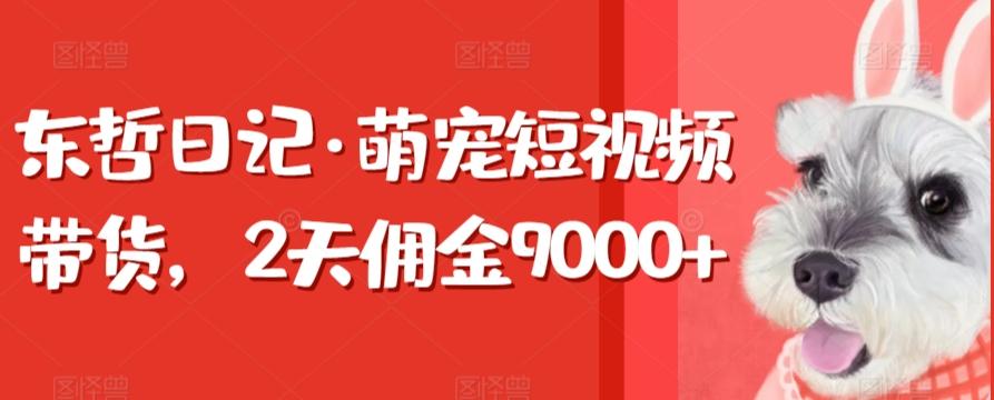 东哲日记·萌宠短视频带货,2天佣金9000+-康仁安网创