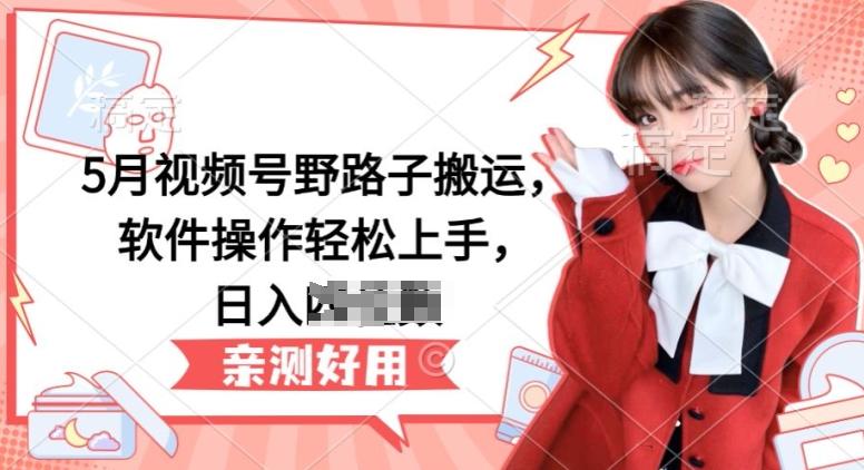 5月视频号野路子搬运,软件操作轻松上手,日入三位数【揭秘】-康仁安网创