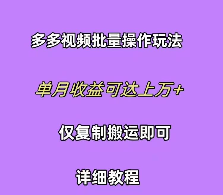 (10029期)拼多多视频带货快速过爆款选品教程 每天轻轻松松赚取三位数佣金 小白必...-康仁安网创