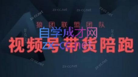 狼团联盟·2024视频号带货-康仁安网创