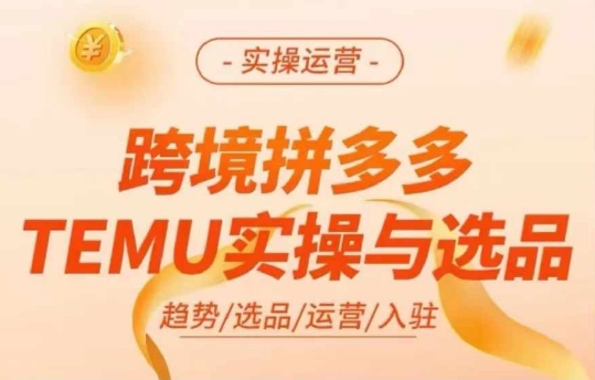 跨境拼多多TEMU实操与选品，多多temu跨境选品运营实操-康仁安网创