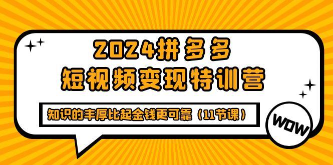 (9817期)2024拼多多短视频变现特训营，知识的丰厚比起金钱更可靠(11节课)-康仁安网创