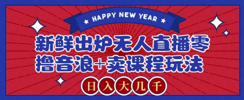 2024最新无人直播零撸音浪+卖课程玩法，日入大几千不是梦【揭秘】-康仁安网创