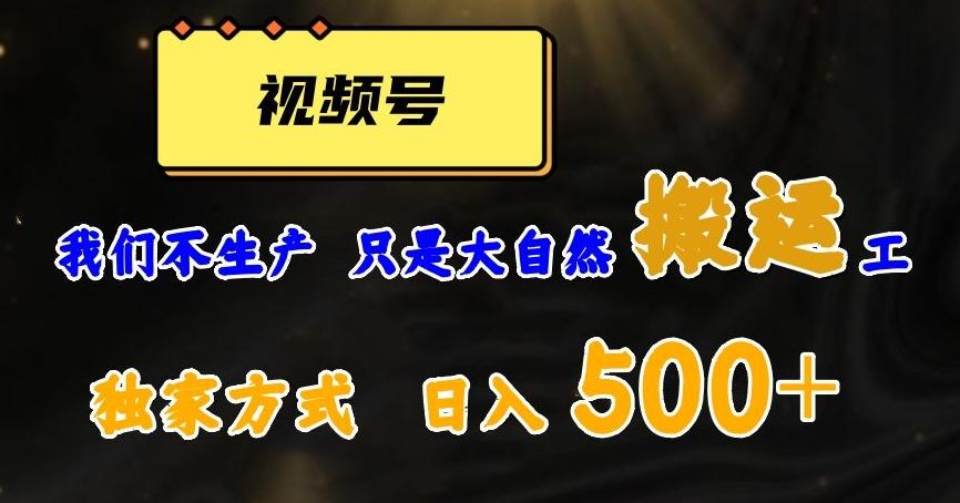 视频号轻松搬运日赚500+,一个1分钟1条原创视频【揭秘】-康仁安网创