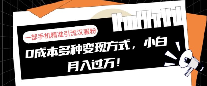 一部手机精准引流汉服粉,0成本多种变现方式,小白月入过万!-康仁安网创