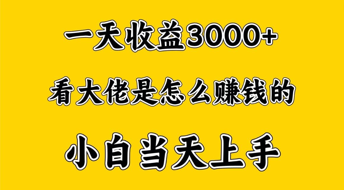 一天赚3000多，大佬是这样赚到钱的，小白当天上手，穷人翻身项目-康仁安网创