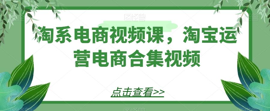 淘系电商视频课,淘宝运营电商合集视频-康仁安网创