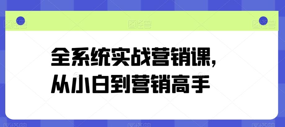 全系统实战营销课，从小白到营销高手-康仁安网创