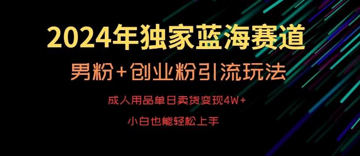 2024年独家蓝海赛道,成人用品单日卖货变现4W+,男粉+创业粉引流玩法,不愁搞不到流量【揭秘】-康仁安网创