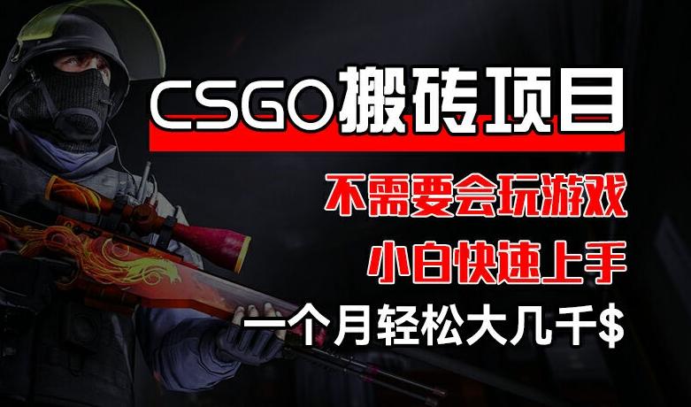CSGO 装备搬砖项目,操作简单,不需要会玩游戏,小白也能快速上手,一个月轻松大几千【揭秘】-康仁安网创