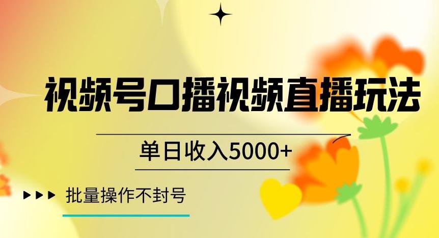 视频号囗播视频直播玩法，单日收入5000+，批量操作不封号【揭秘】-康仁安网创