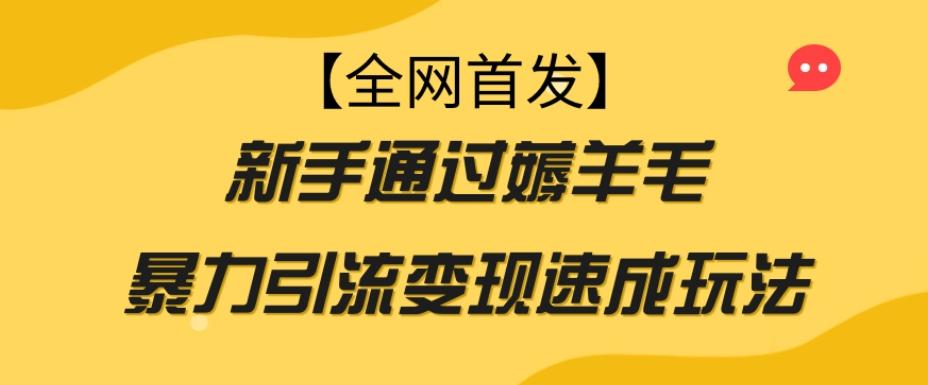 【全网首发】新手通过薅羊毛暴力引流变现速成玩法-康仁安网创
