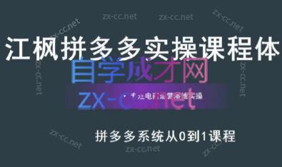 江枫老师·拼多多实操课程-康仁安网创