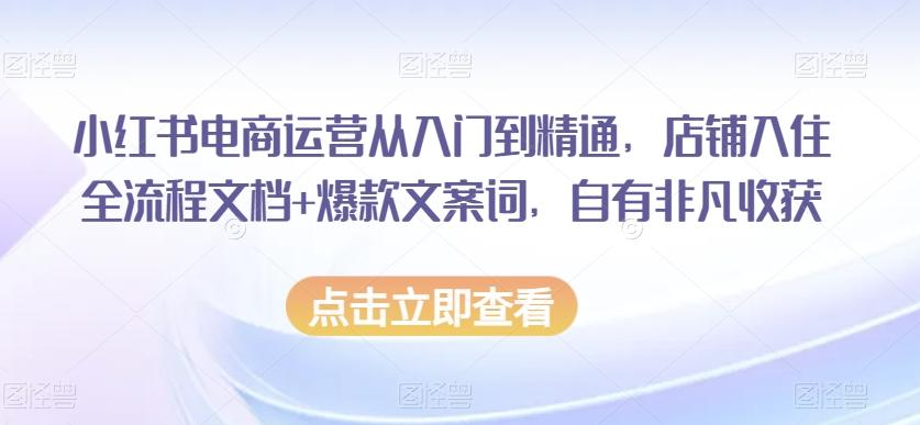小红书电商运营从入门到精通,店铺入住全流程文档+爆款文案词,自有非凡收获-康仁安网创