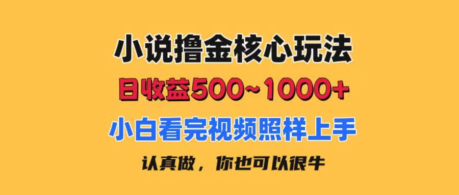 小说撸金核心玩法，日收益500-1000+，小白看完照样上手，0成本有手就行-康仁安网创