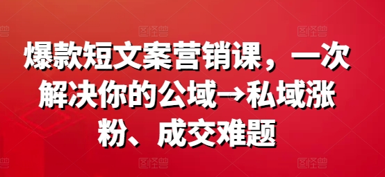 爆款短文案营销课,一次解决你的公域→私域涨粉、成交难题-康仁安网创