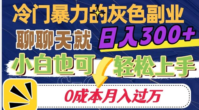 冷门暴利的副业项目,聊聊天就能日入300+,0成本月入过万【揭秘】-康仁安网创